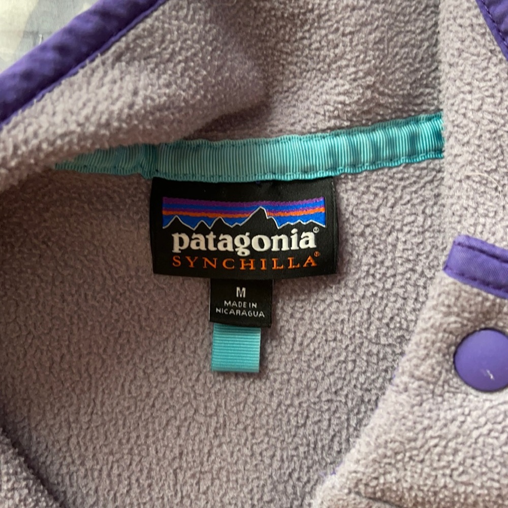 Sweatshirt Patagonia